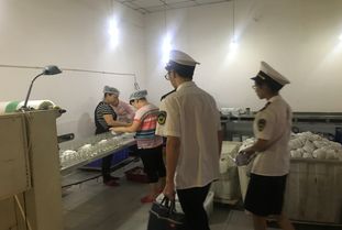 内江市东兴区强化监管，保障公众用餐安全——餐饮具集中消毒服务机构专项检查工作纪实