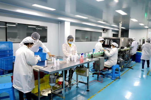 高效服务暖企心 嘉定区20天办结资质变更，企业转产捐赠万件消毒物资回馈社会