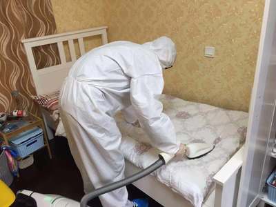 江湾翰林全屋深度清洁 专业消毒、除螨与杀虫服务详解